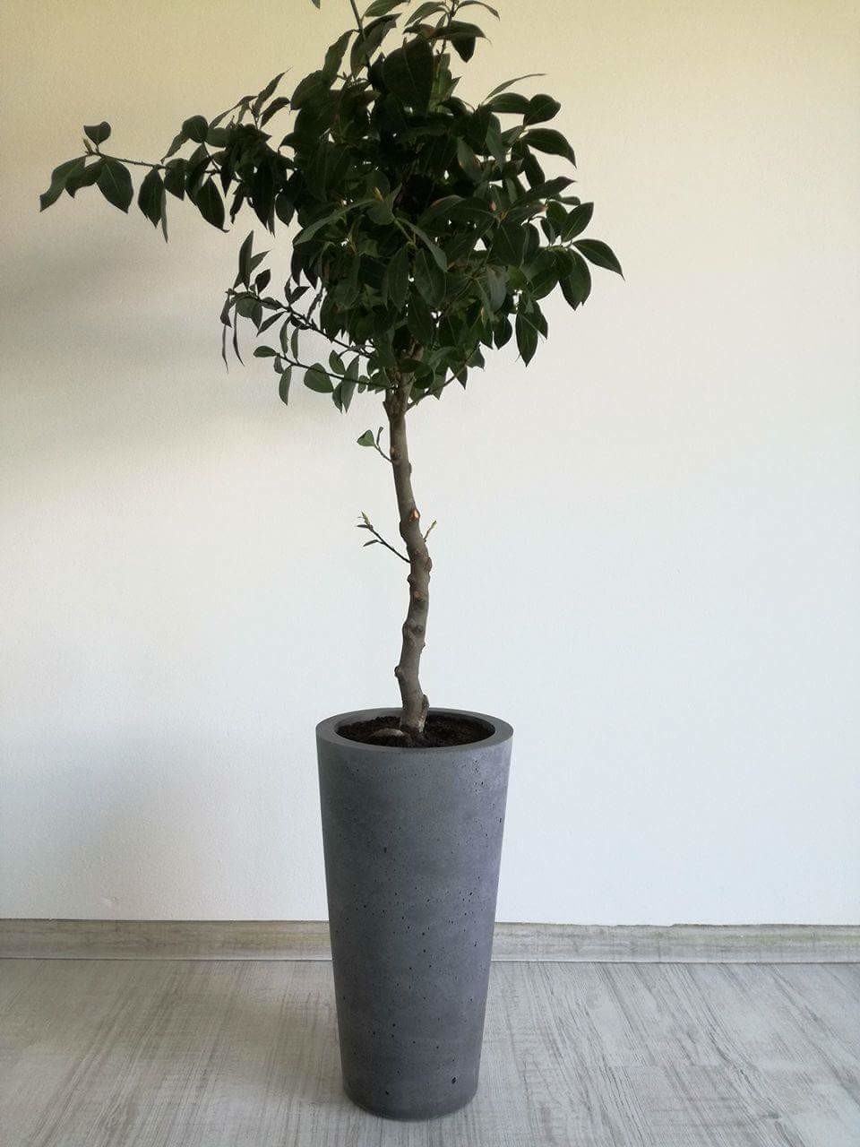 Betonový Květináč - Kužel, Malý